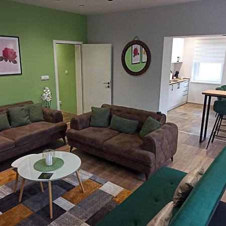 Dream House Apartment Vrsac Bagian luar foto