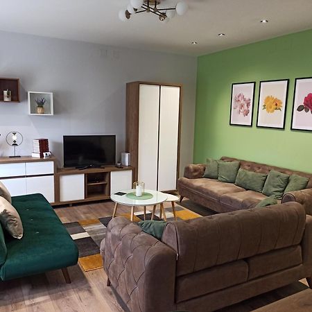 Dream House Apartment Vrsac Bagian luar foto