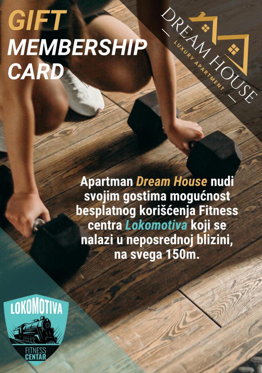 Dream House Apartment Vrsac Bagian luar foto