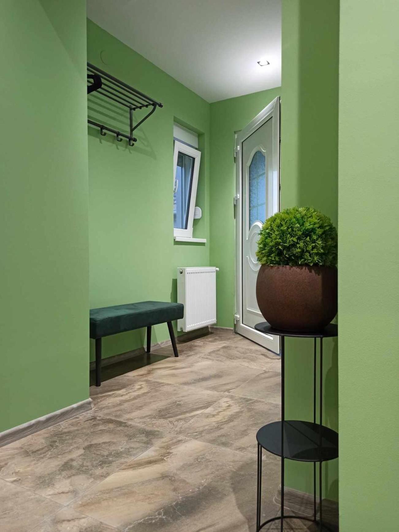 Dream House Apartment Vrsac Bagian luar foto